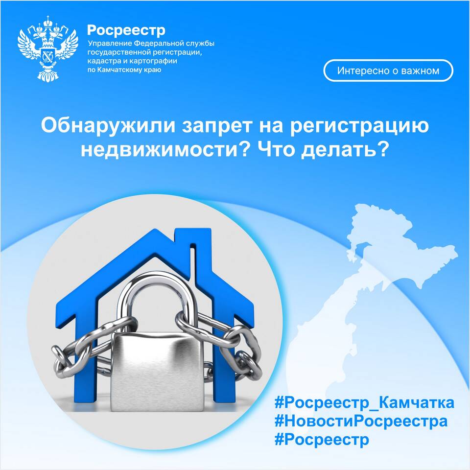 Запрет на регистрационные действия авто: что это