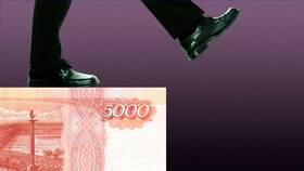 Чем грозит работодателю невыплата зарплаты в Самура