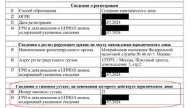 Что должно быть в уставе юридического лица в Самура