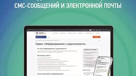 ФНС РФ: чем занимается в Самура