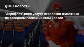 Как оформить запрос на перевозку животного Аэрофлотом в Самура