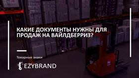 Как разделили Wildberries: структура собственности компании в Самура