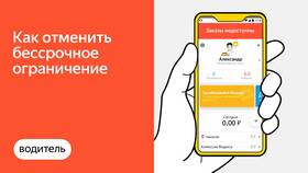 Как удалить историю заказов в Яндекс Лавке в Самура