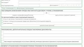 Как вернуть страховку: пошаговая инструкция в Самура