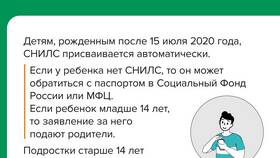 Как выглядит СНИЛС ребенка в 2024 году в Самура