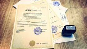 Как заказать выписку юридического лица в Самура