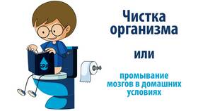 Народные методы очищения организма в Самура