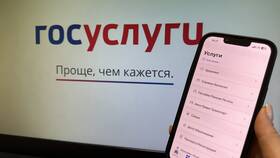 Почему Госуслуги сообщают о подозрительной активности в Самура