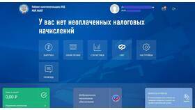 Самозанятый и ИП: различия в 2025 году в Самура