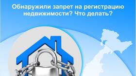 Запрет на регистрационные действия авто: что это в Самура