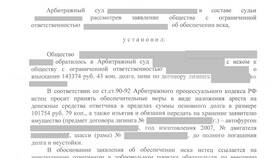 Заявление об обеспечении иска: сущность и назначение в Самура